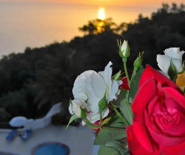 Maria With Pool And Panorama View - Agios Gordios 1 Apartament *